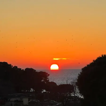 Fragrances Of Istria - The Olives - On The Sea Of Stoia * Pula