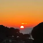 Fragrances Of Istria - The Olives - On The Sea Of Stoia * Pula