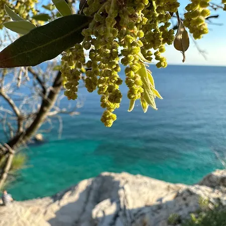 Fragrances Of Istria - The Olives - On The Sea Of Stoia Apartment *