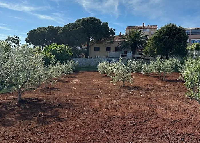 Fragrances Of Istria - The Olives - On The Sea Of Stoia Апартаменти Пула