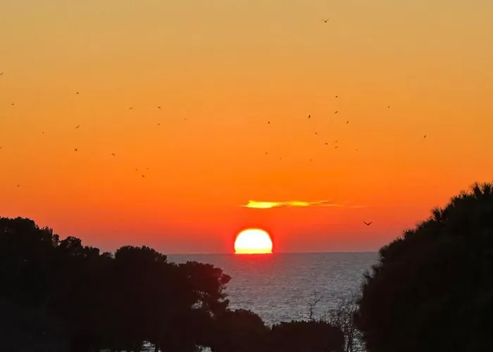 Fragrances Of Istria - The Olives - On The Sea Of Stoia * Пула
