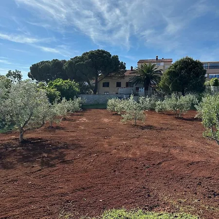 Fragrances Of Istria - The Olives - On The Sea Of Stoia アパート プーラ